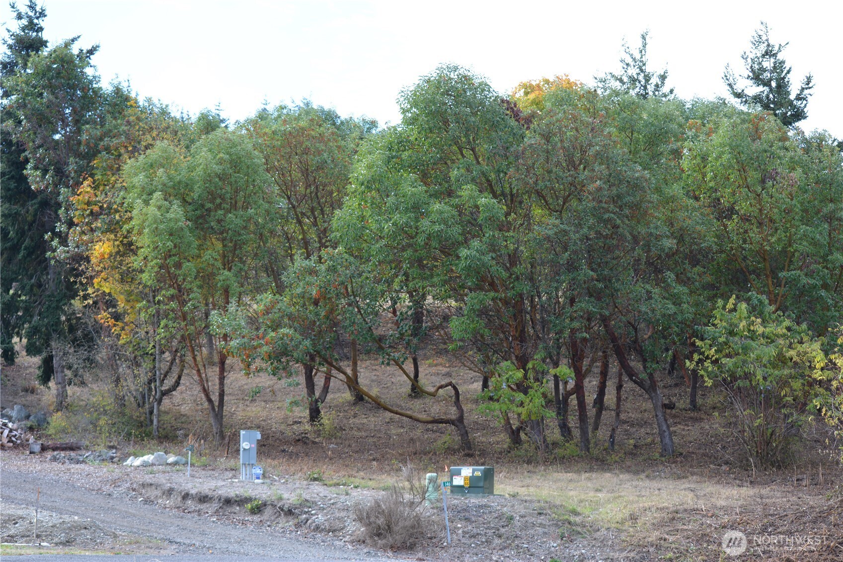 999 Moonlight Drive Property Photo 12