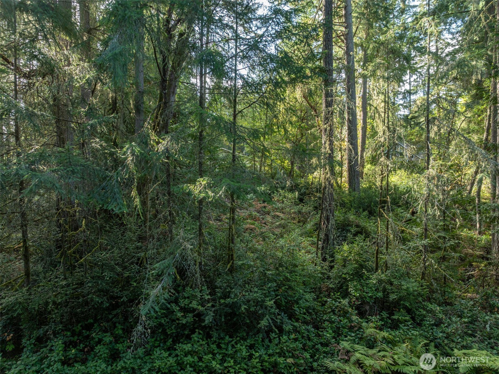 11316 Breaker Way Property Photo 4