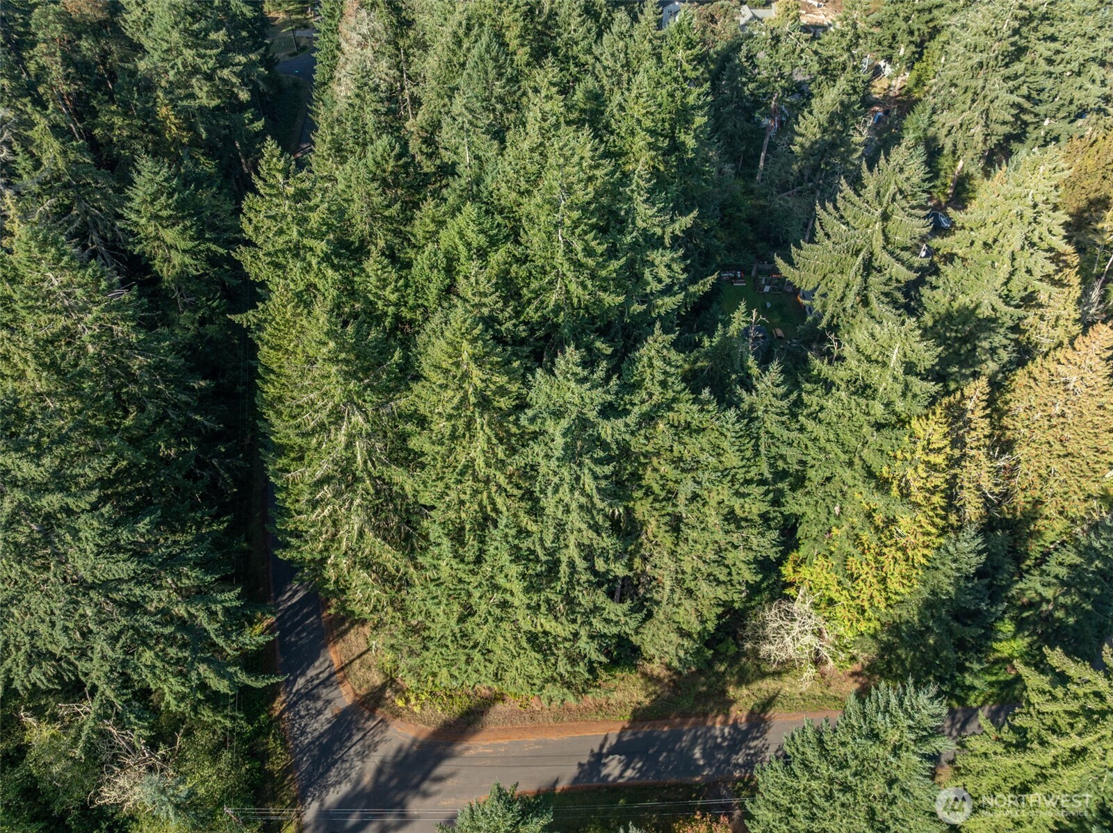 10102 104th Avenue Property Photo 1