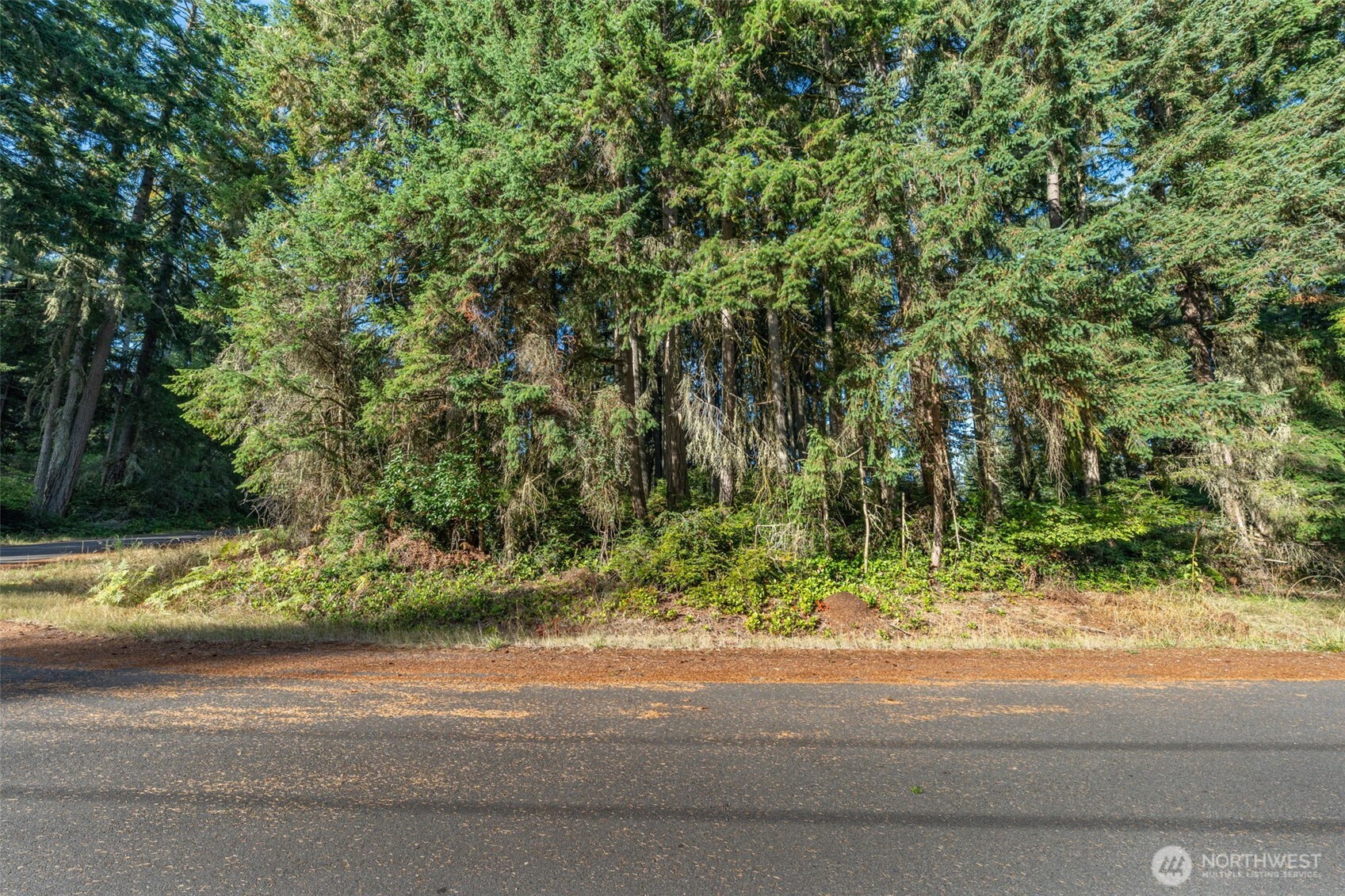 10102 104th Avenue Property Photo 2