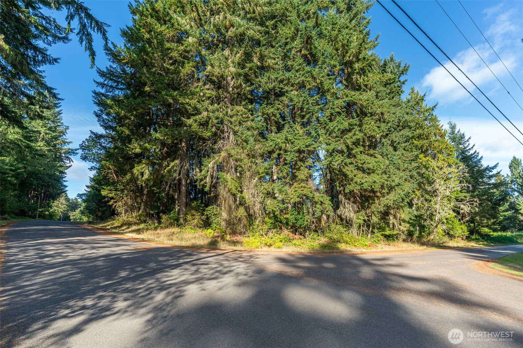 10102 104th Avenue Property Photo 3