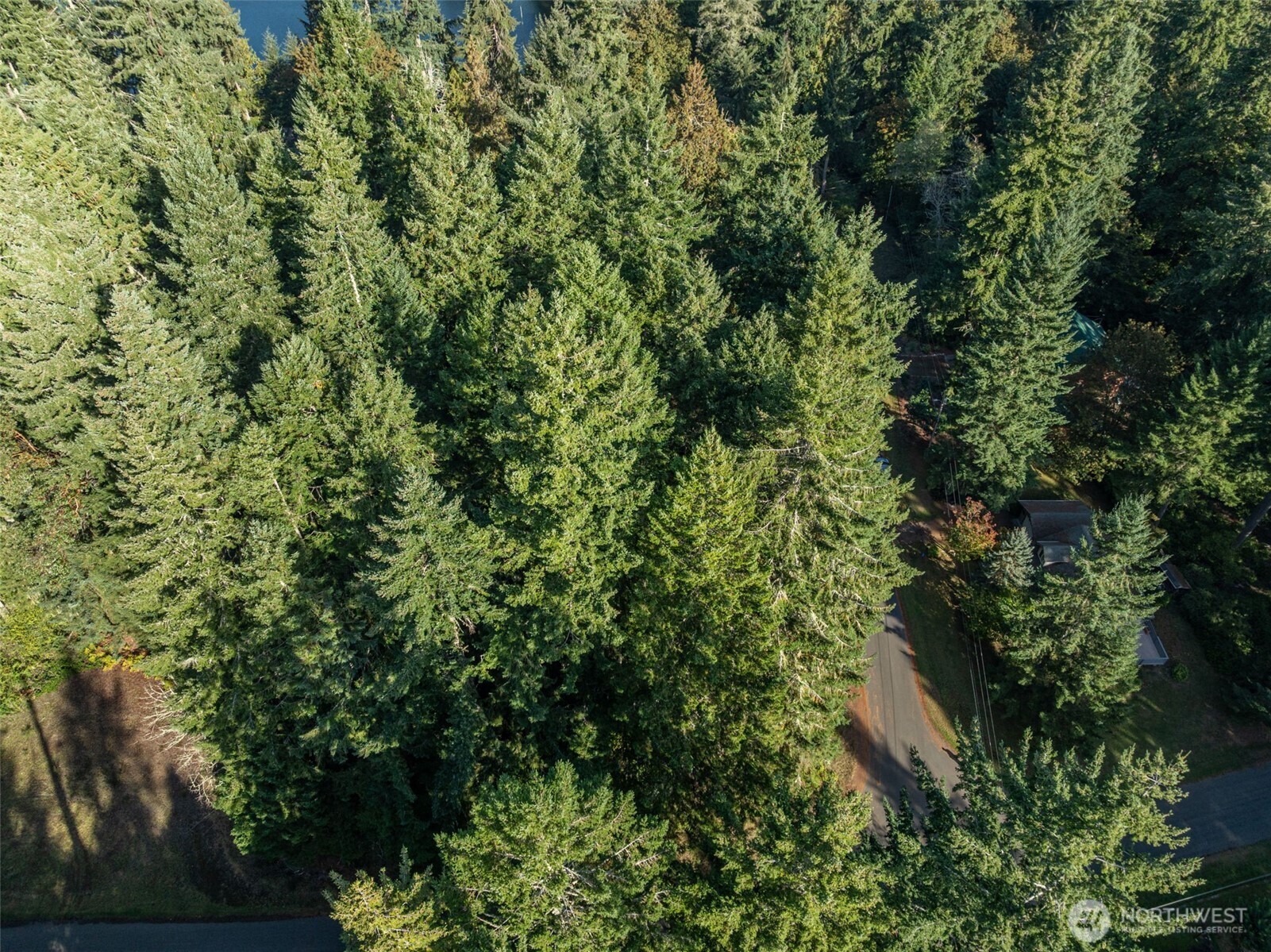 10102 104th Avenue Property Photo 5