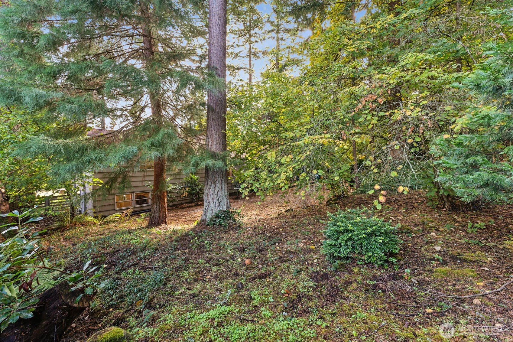 16051 21st Avenue Property Photo 22