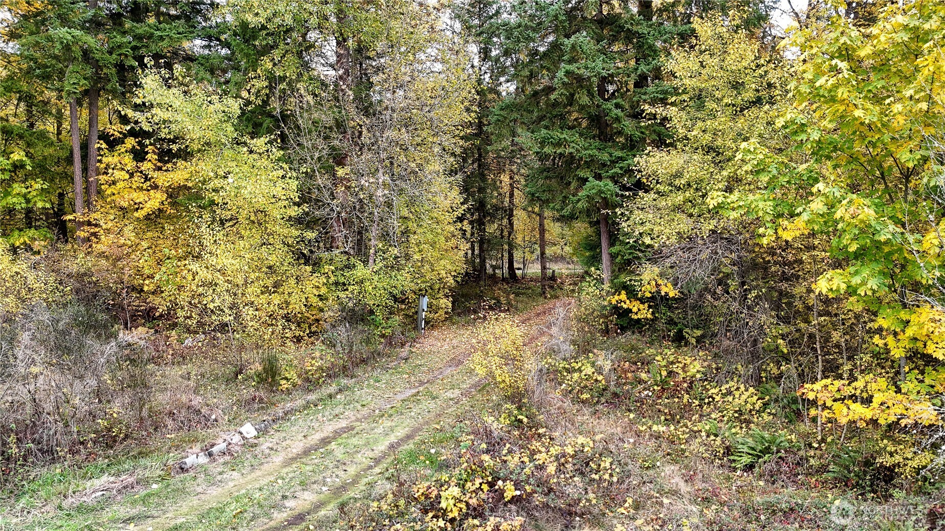 19836 161st Way Property Photo 12