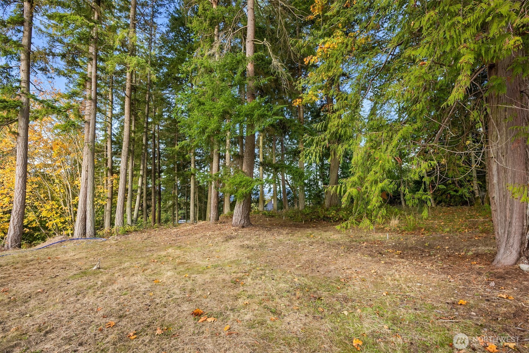 34464 Bridge View Drive Property Photo 4