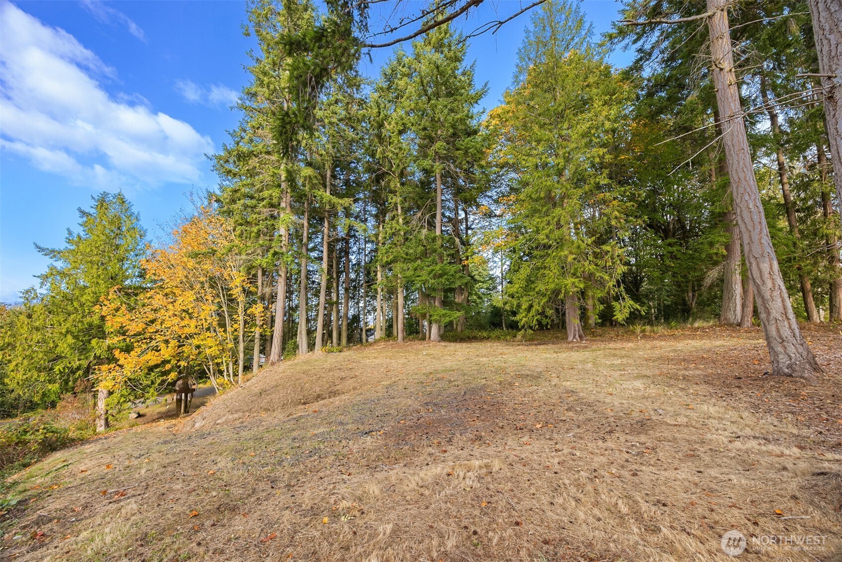 34464 Bridge View Drive Property Photo 6