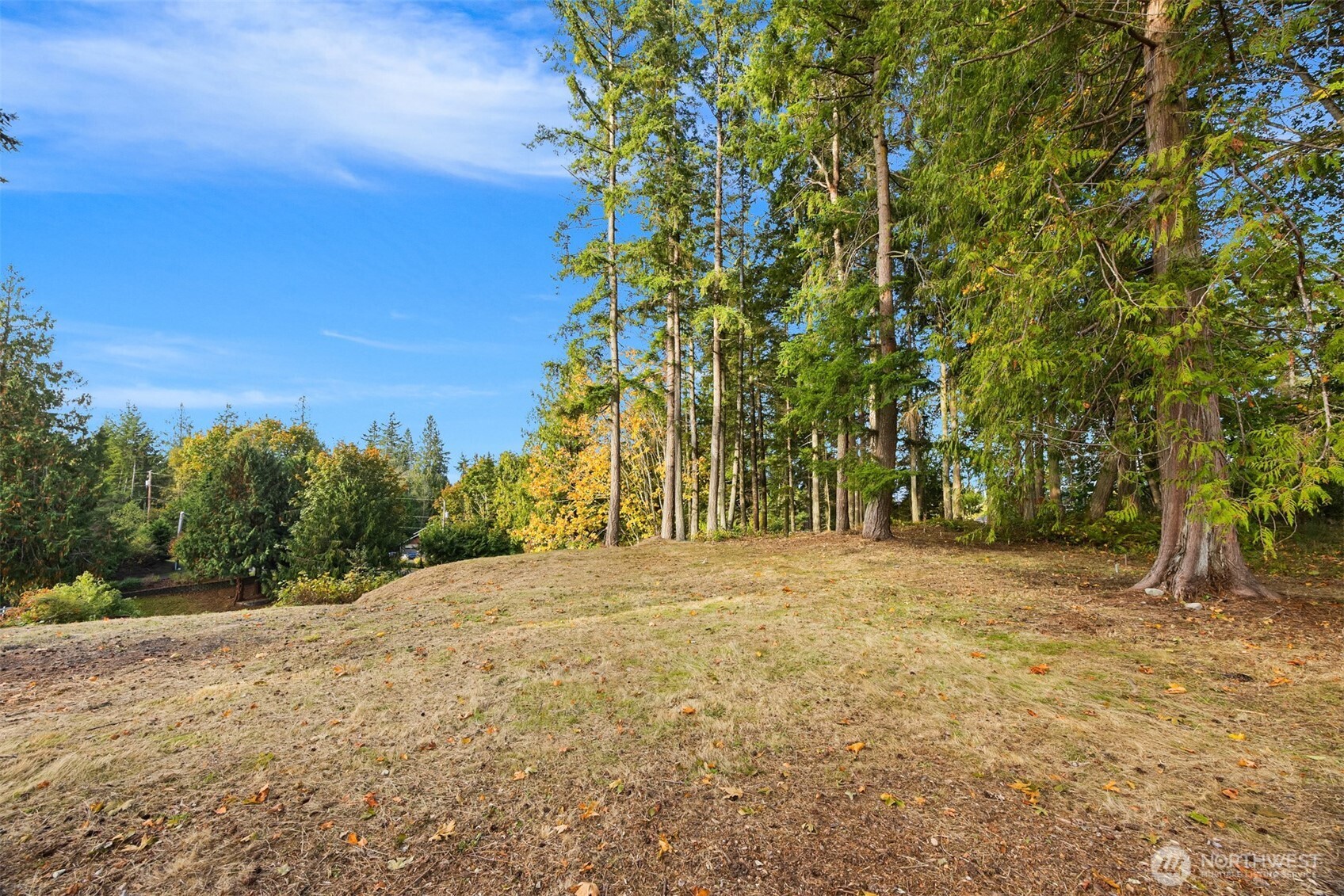 34464 Bridge View Drive Property Photo 7