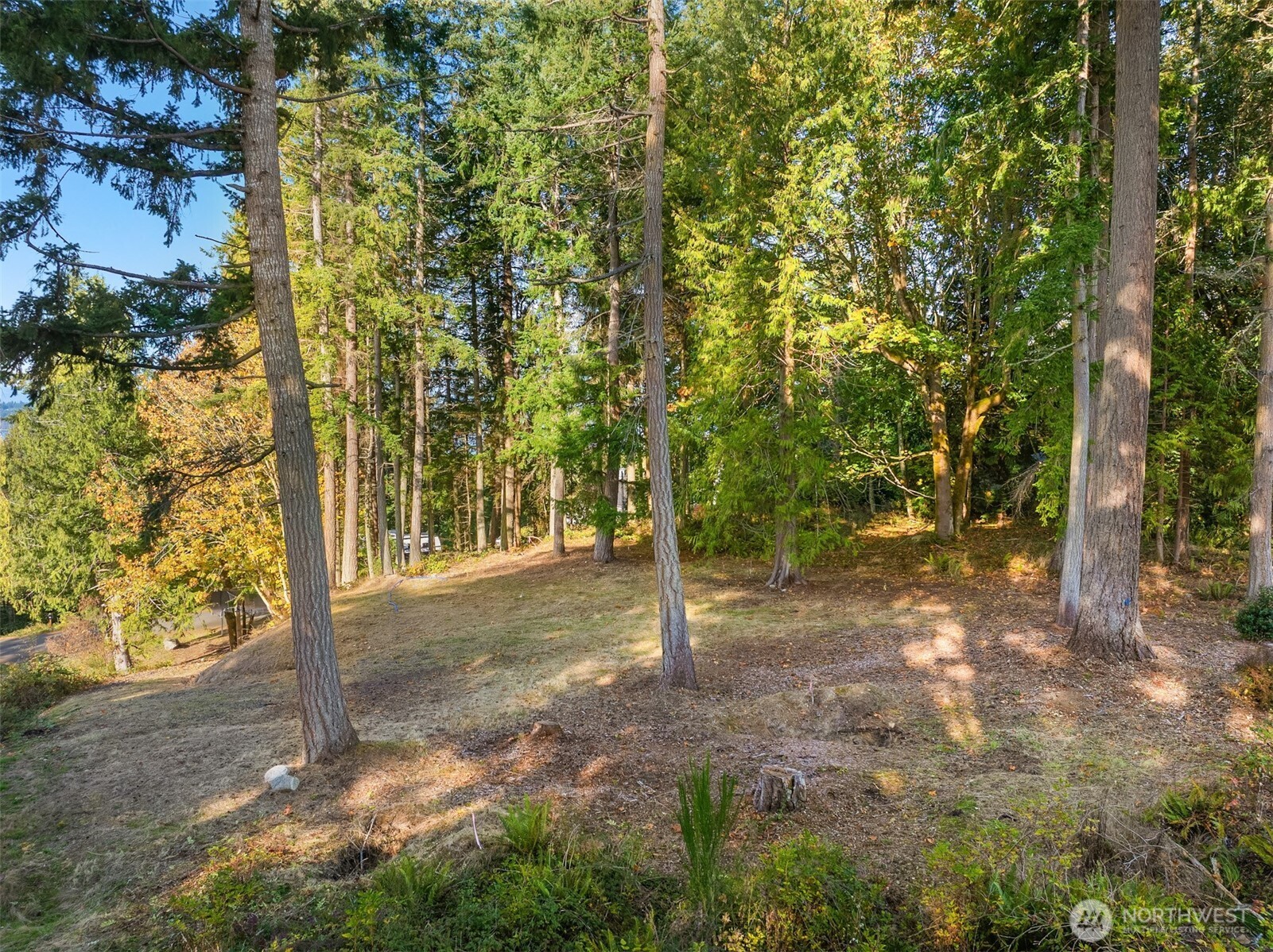 34464 Bridge View Drive Property Photo 13