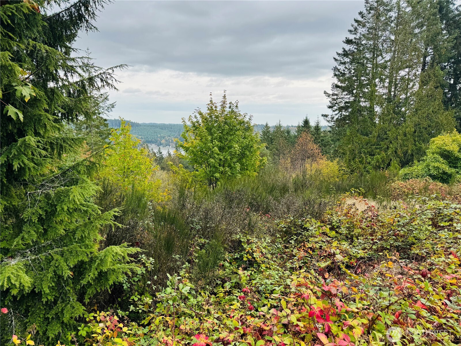 181 E Rainier Court Property Photo 2