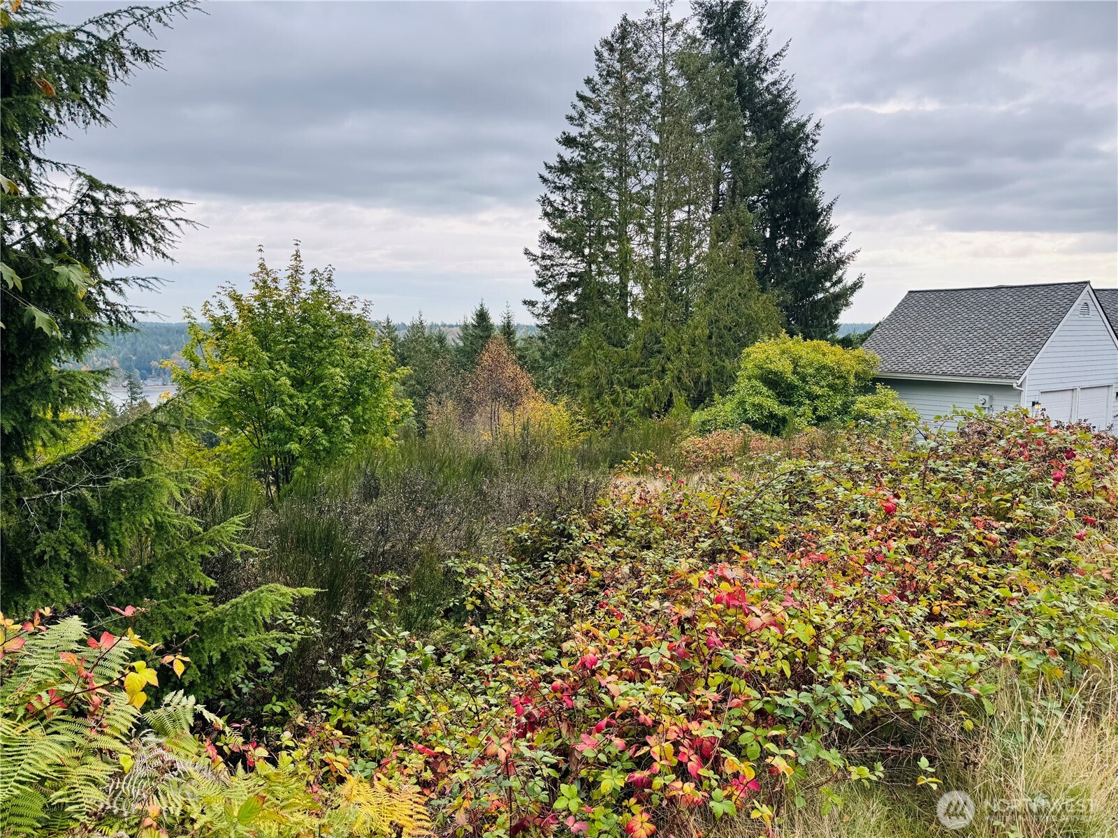 181 E Rainier Court Property Photo 4