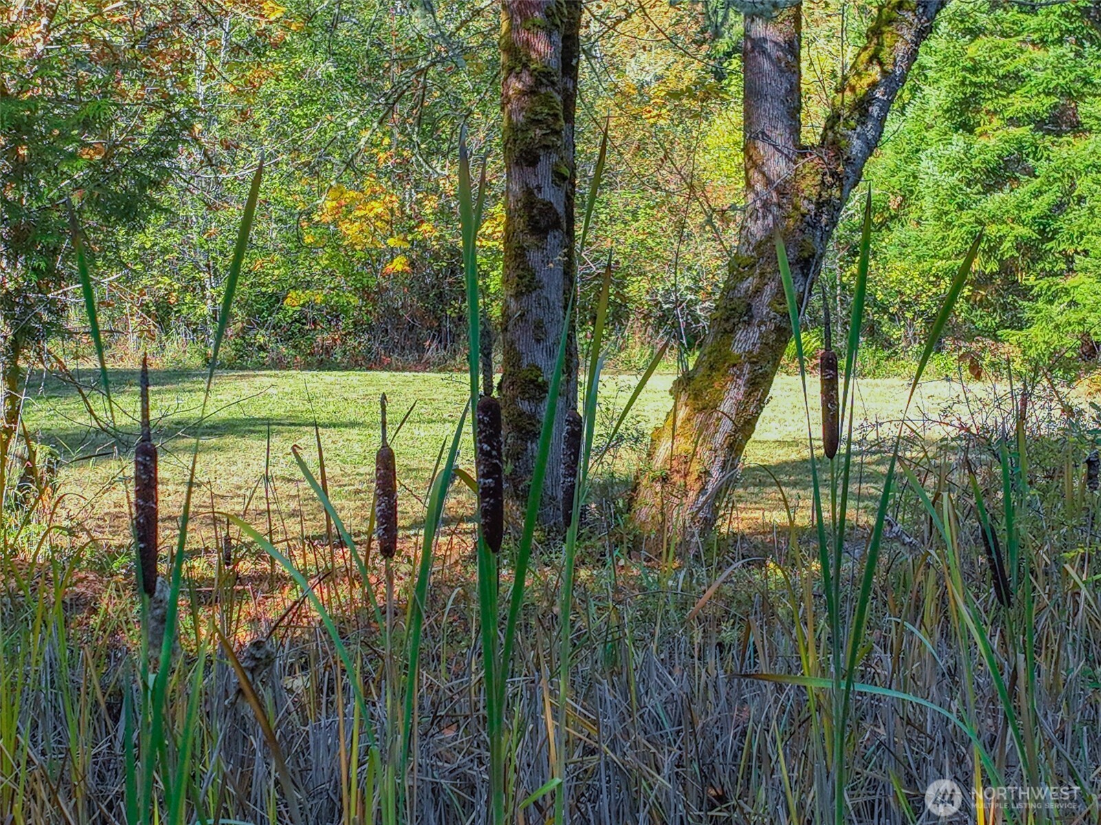 17328 Mulqueen Road Property Photo 12