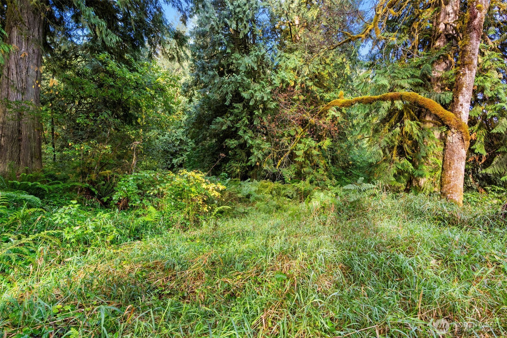 0 Ne Cedar Creek Road Property Photo 3