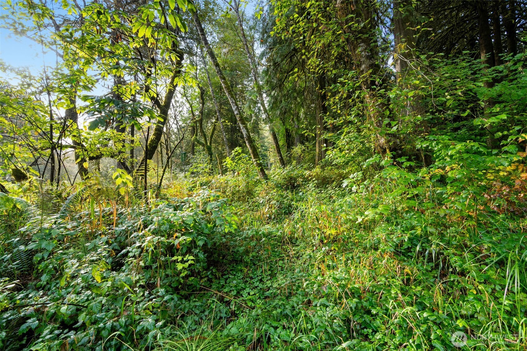 0 Ne Cedar Creek Road Property Photo 4