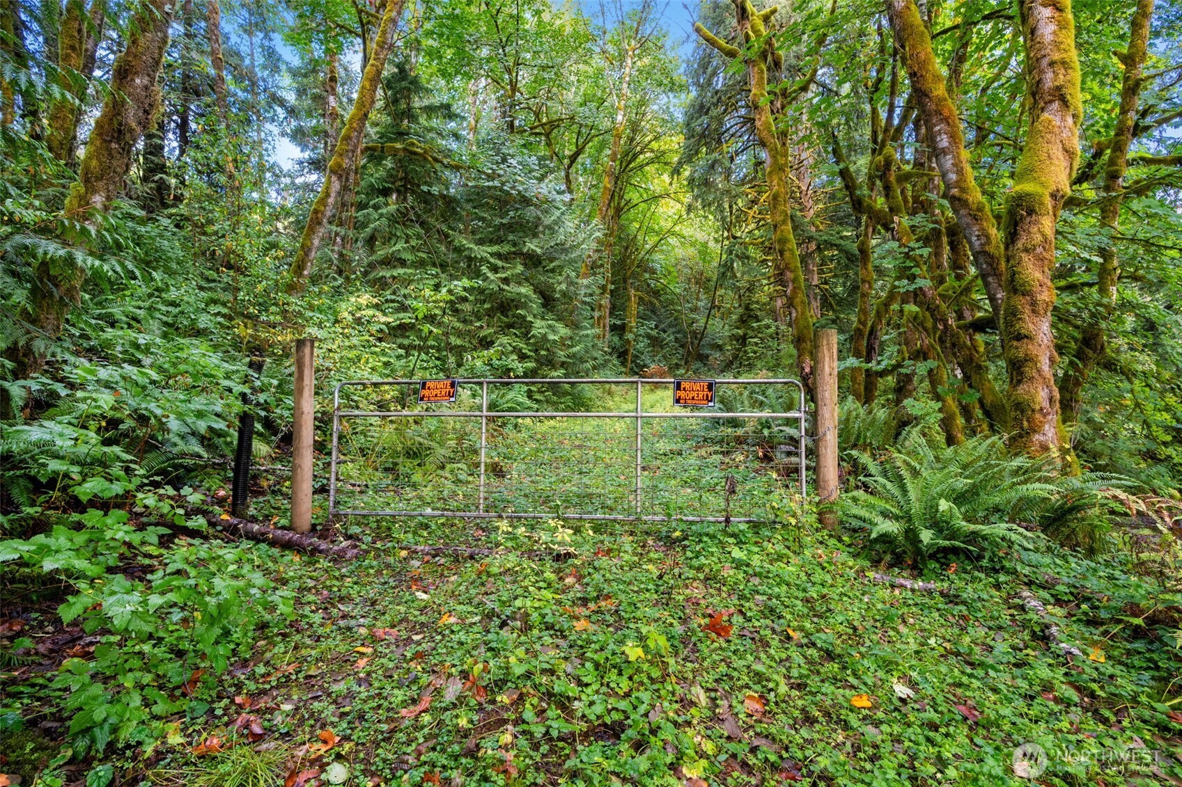 0 Ne Cedar Creek Road Property Photo 28