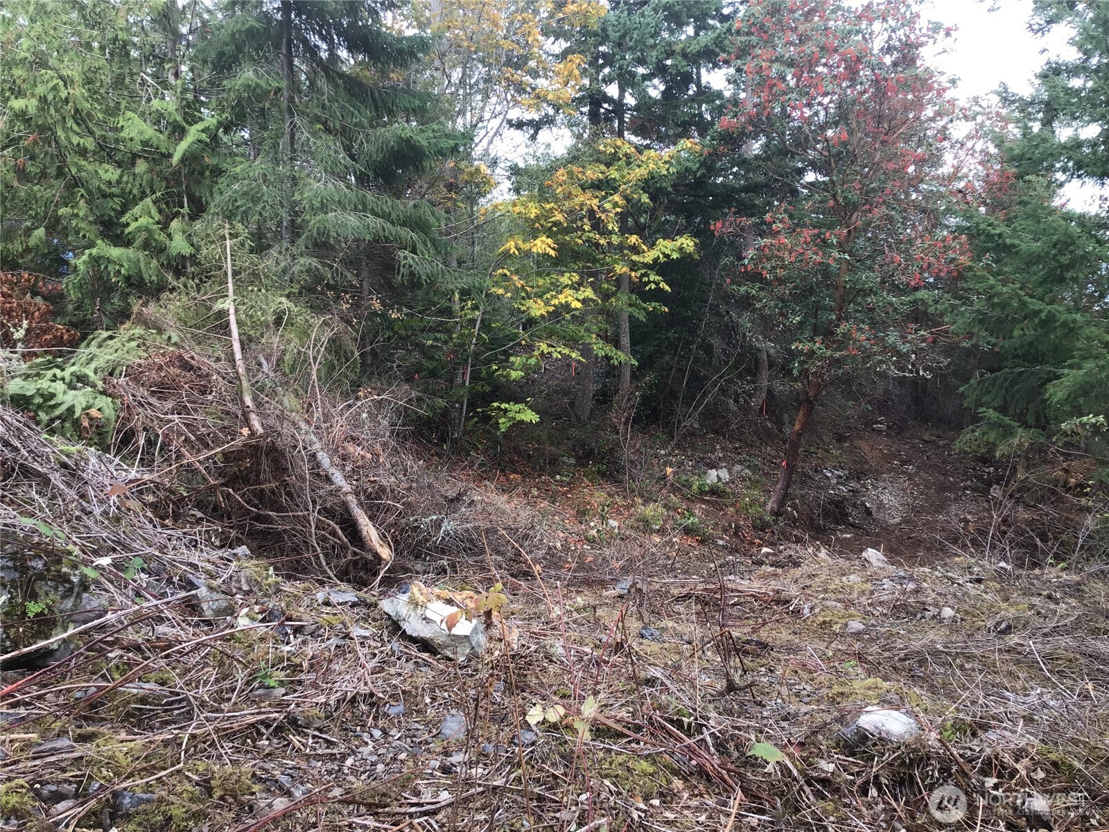 11939 New Morning Drive Property Photo 1