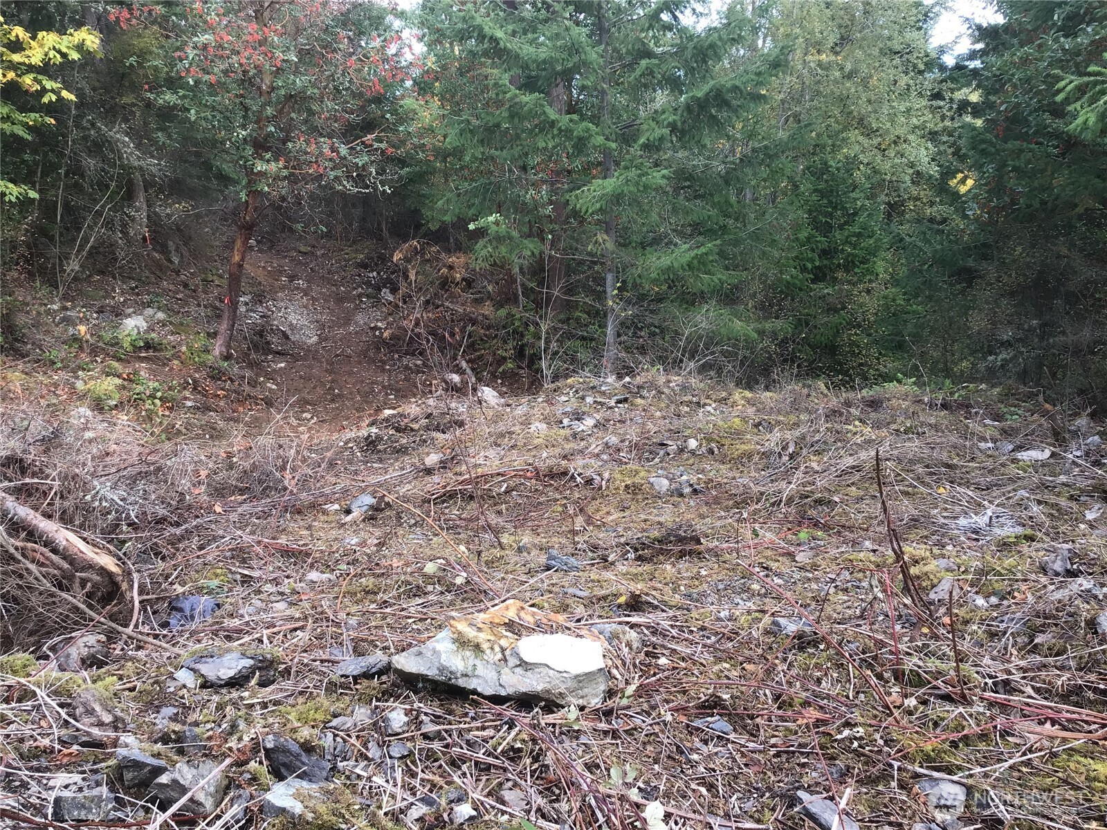 11939 New Morning Drive Property Photo 3
