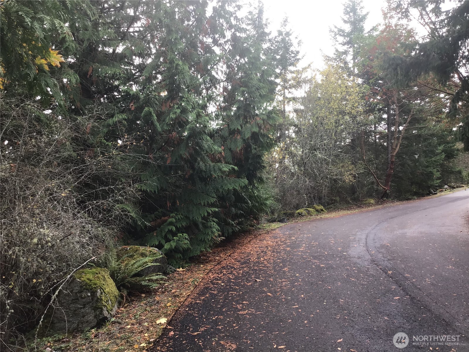 11939 New Morning Drive Property Photo 7