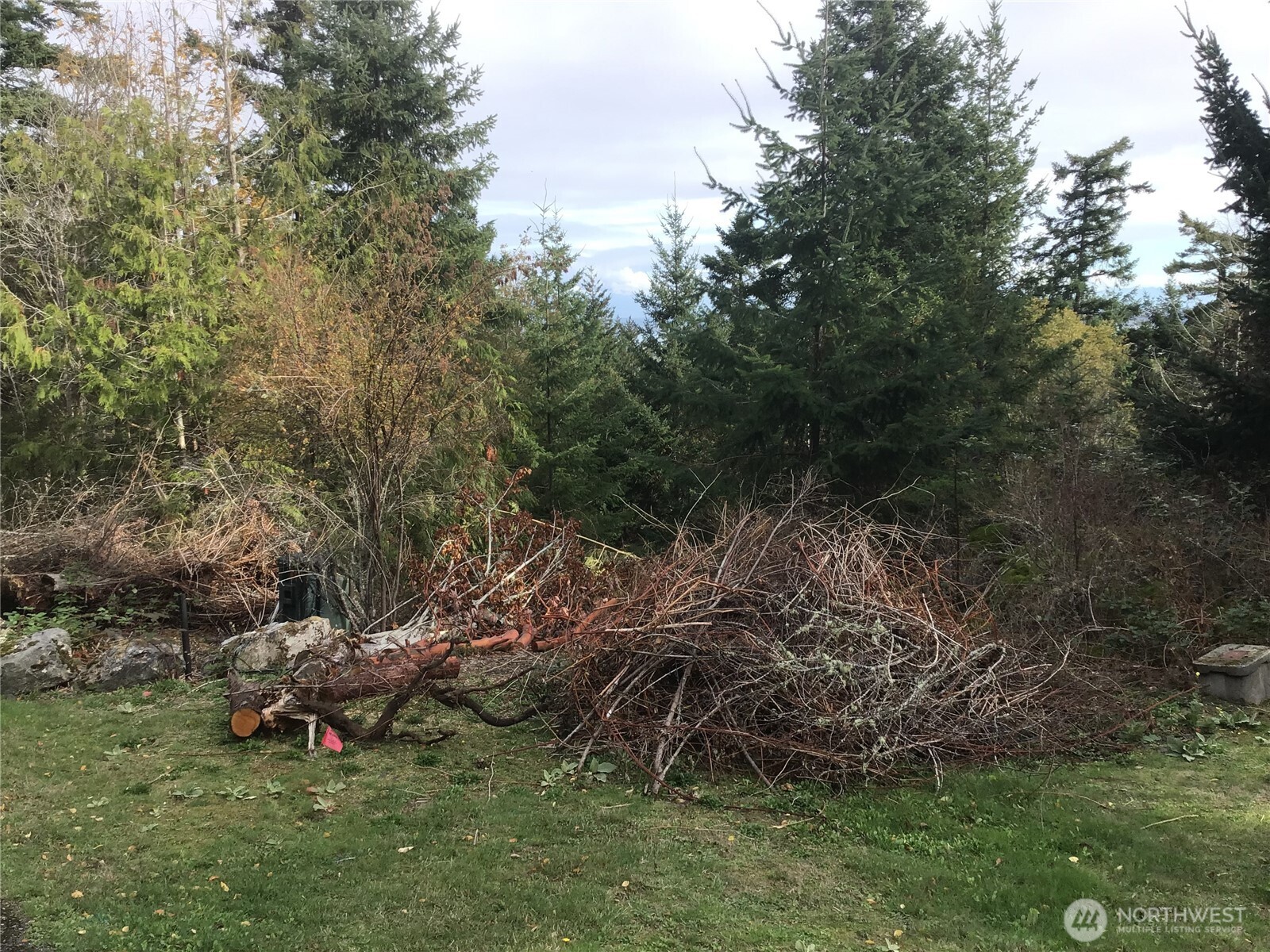 11939 New Morning Drive Property Photo 19
