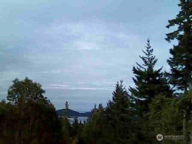 11939 New Morning Drive Property Photo 26