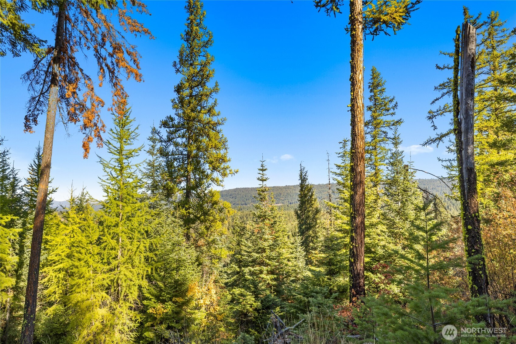 430 Iron Monarch Loop Property Photo 3