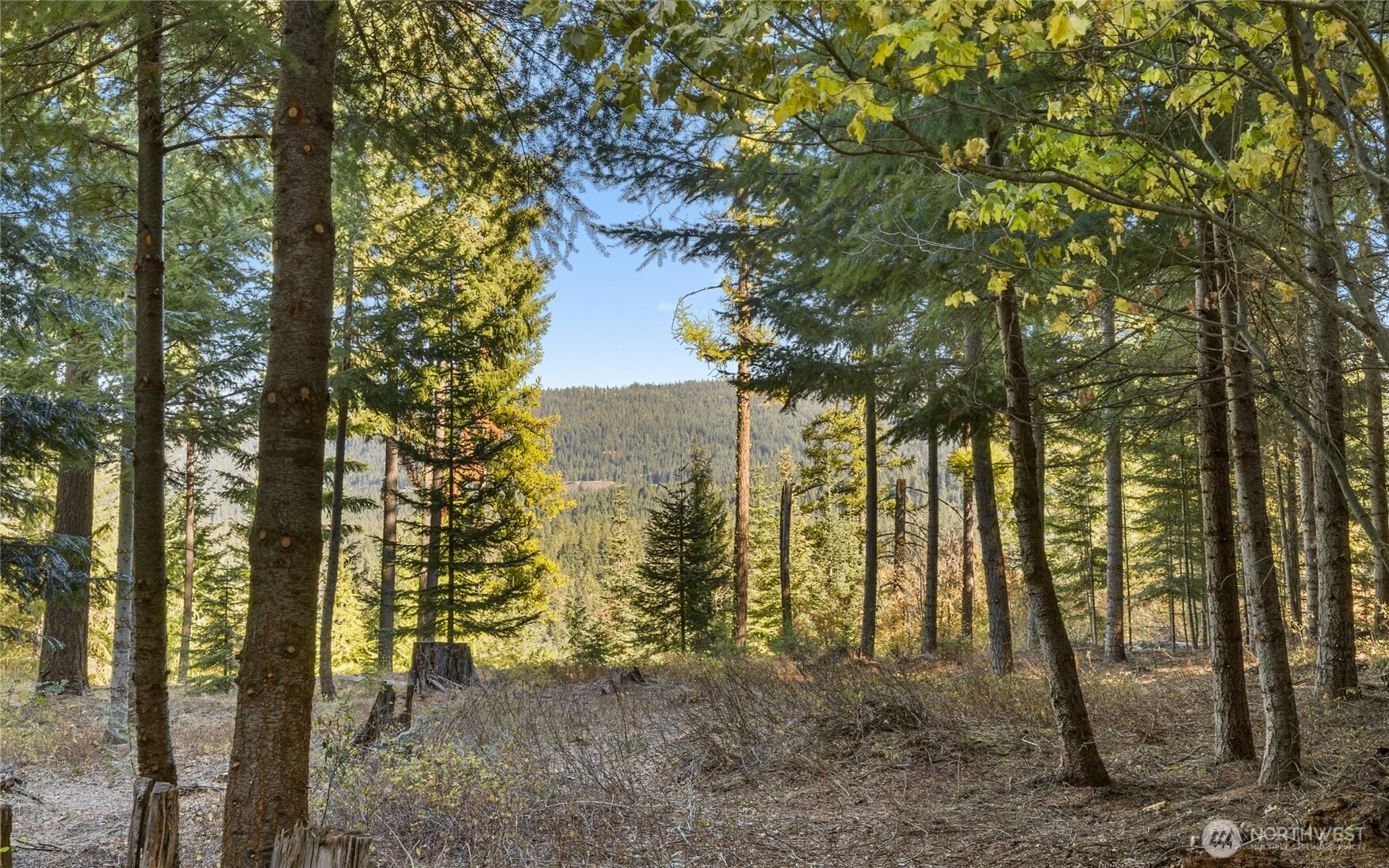 430 Iron Monarch Loop Property Photo 6
