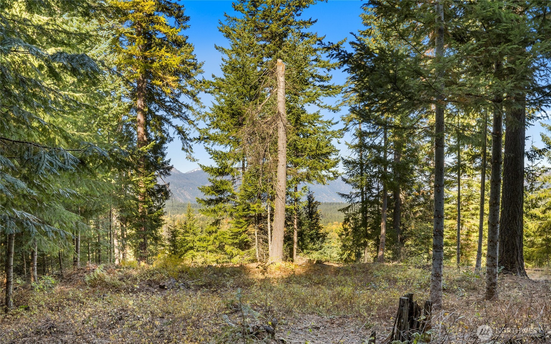 430 Iron Monarch Loop Property Photo 7