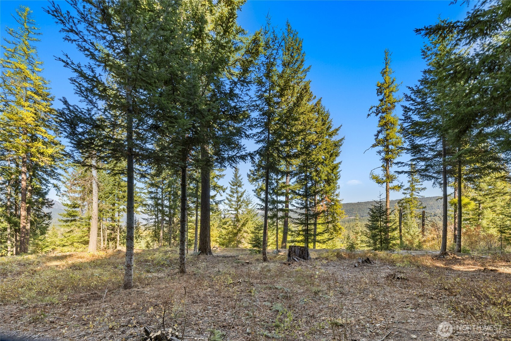 430 Iron Monarch Loop Property Photo 8