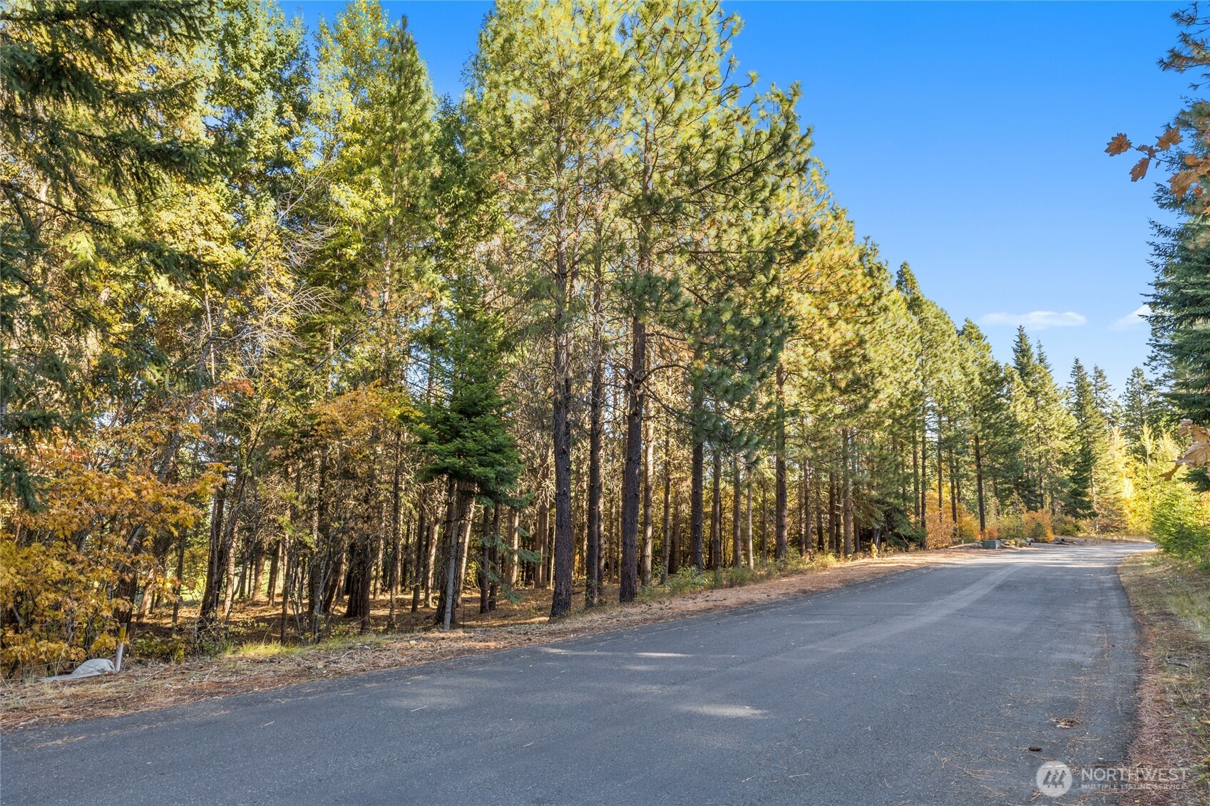 430 Iron Monarch Loop Property Photo 10