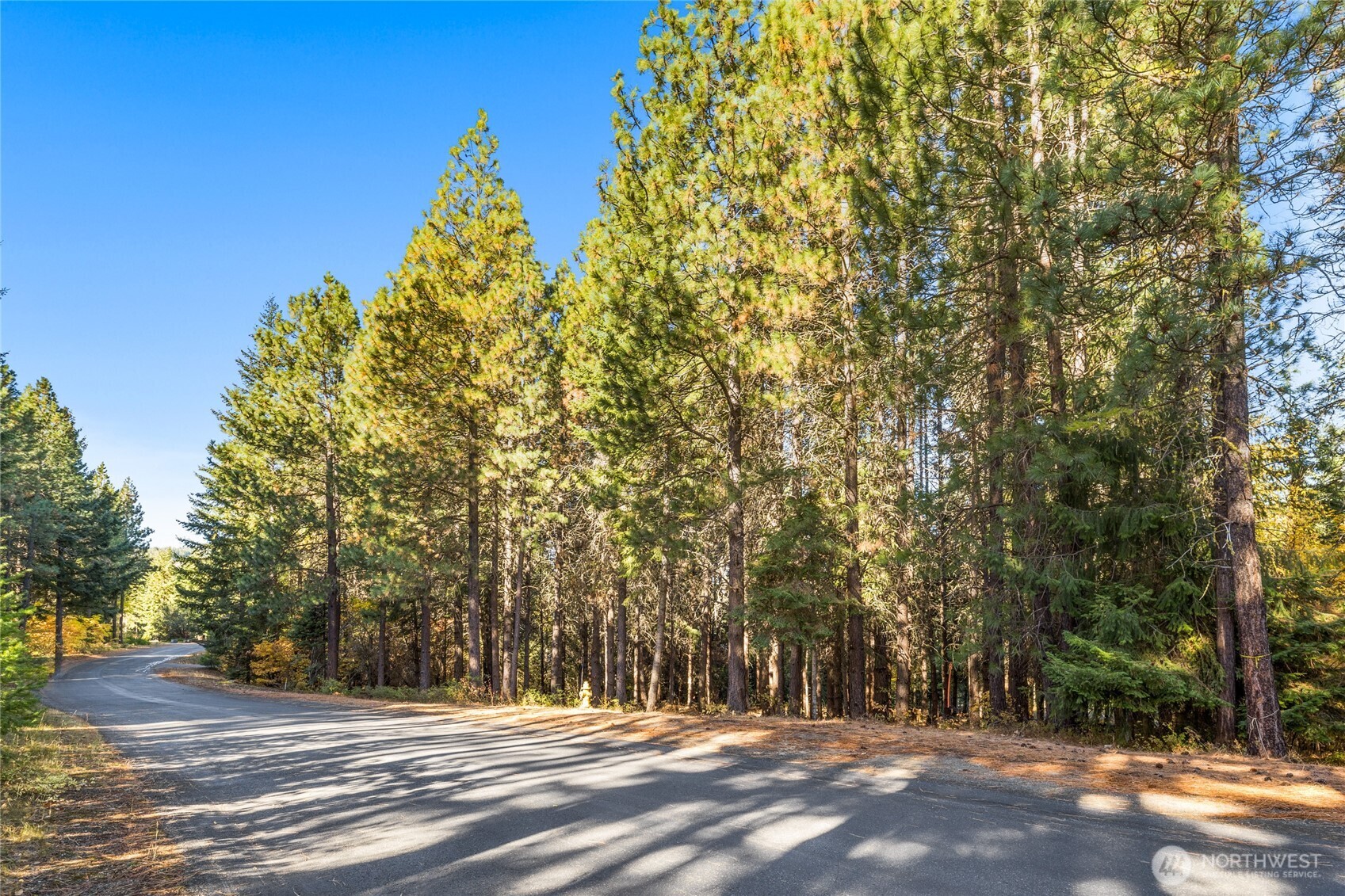430 Iron Monarch Loop Property Photo 12