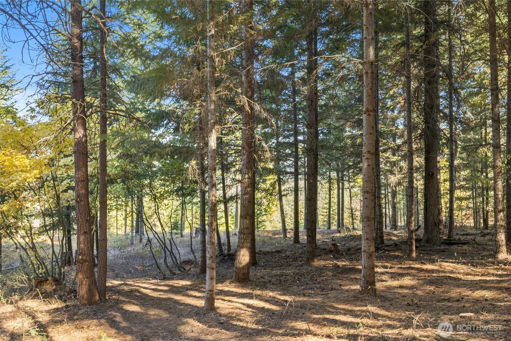 430 Iron Monarch Loop Property Photo 14