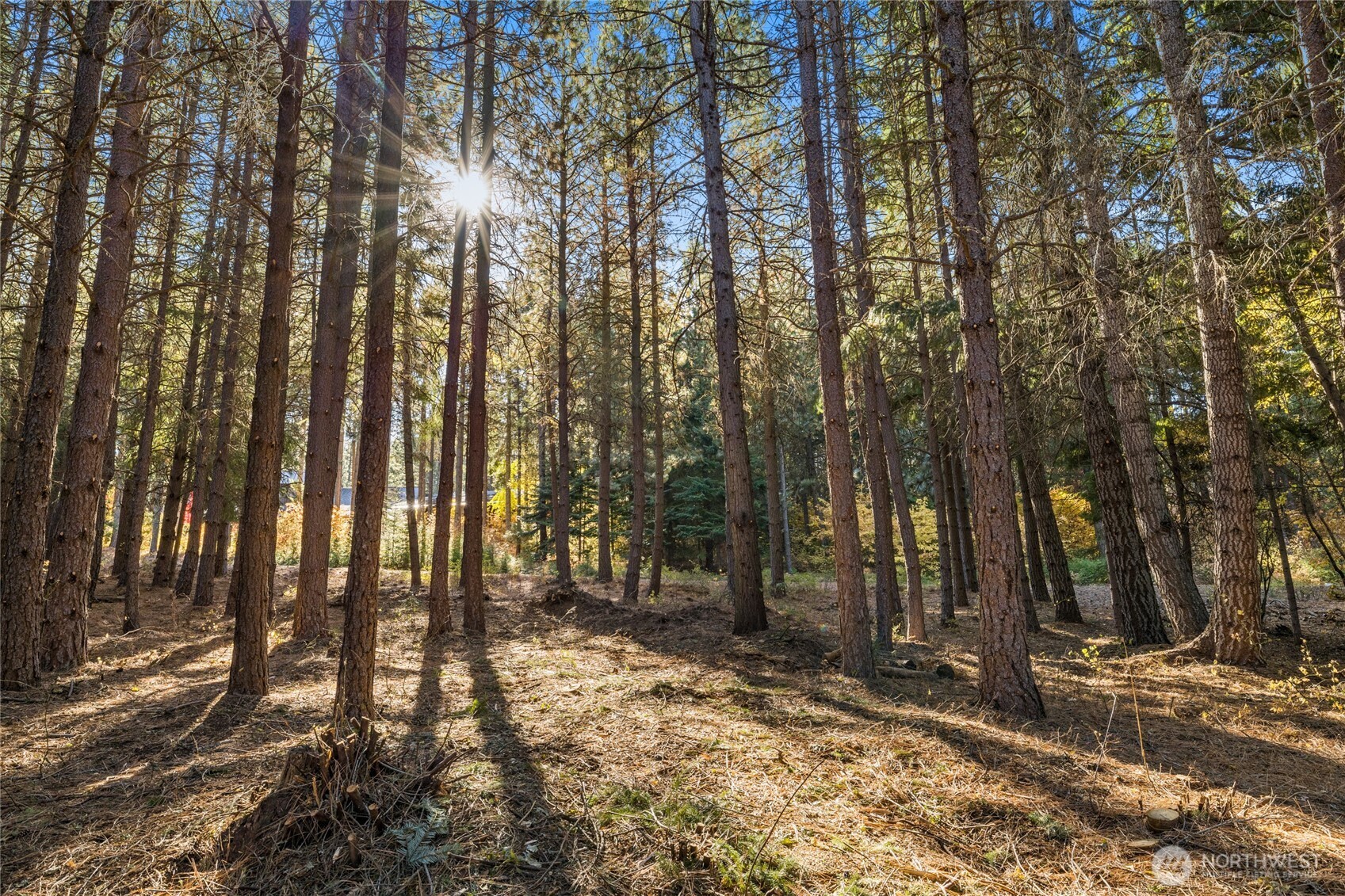 430 Iron Monarch Loop Property Photo 15