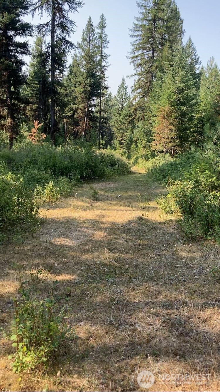 0 Xxx Turner Lake Road Property Photo 5