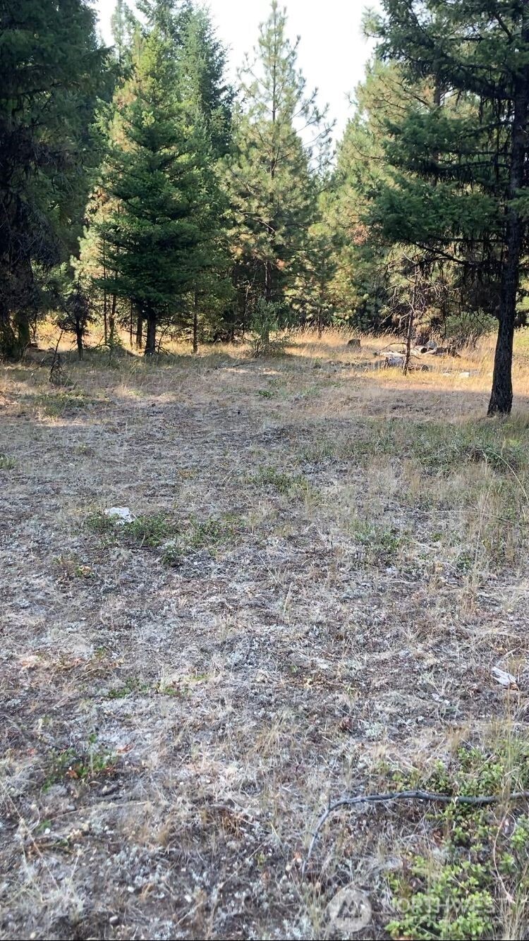 0 Xxx Turner Lake Road Property Photo 6