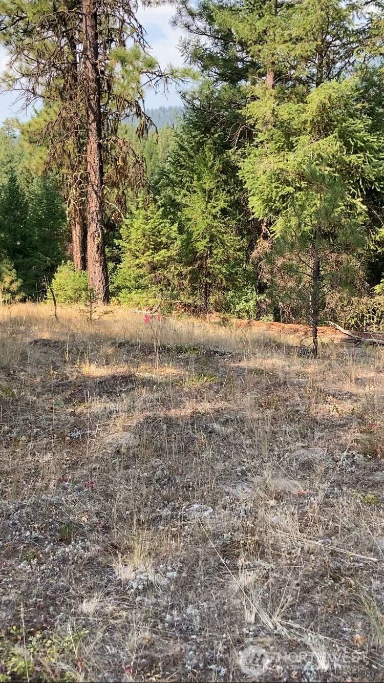 0 Xxx Turner Lake Road Property Photo 7