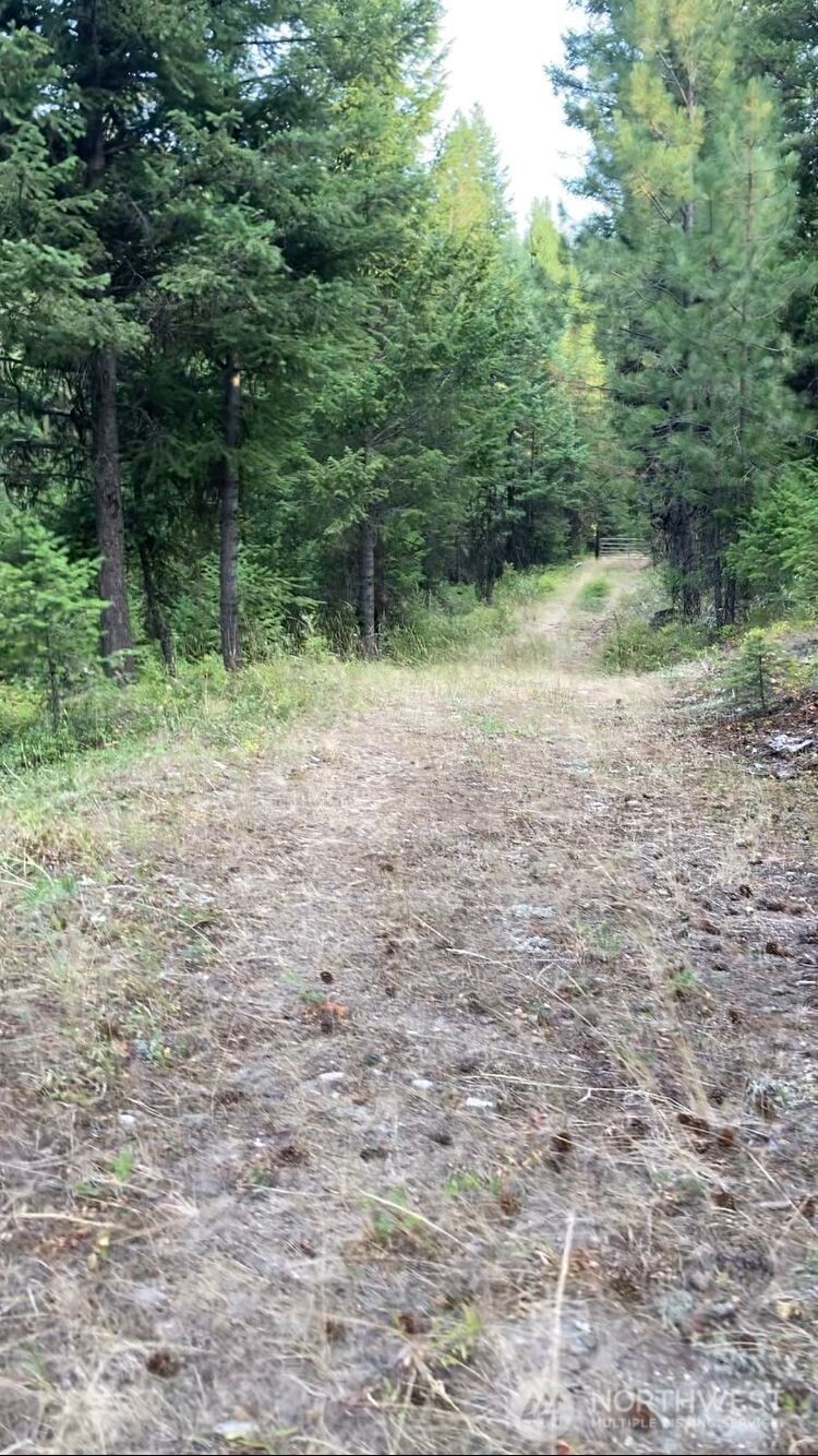 0 Xxx Turner Lake Road Property Photo 8