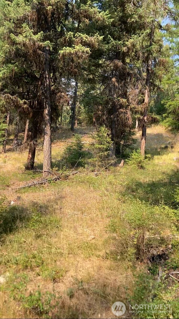 0 Xxx Turner Lake Road Property Photo 11