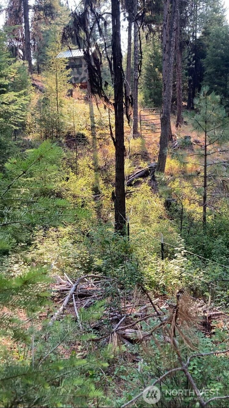 0 Xxx Turner Lake Road Property Photo 12
