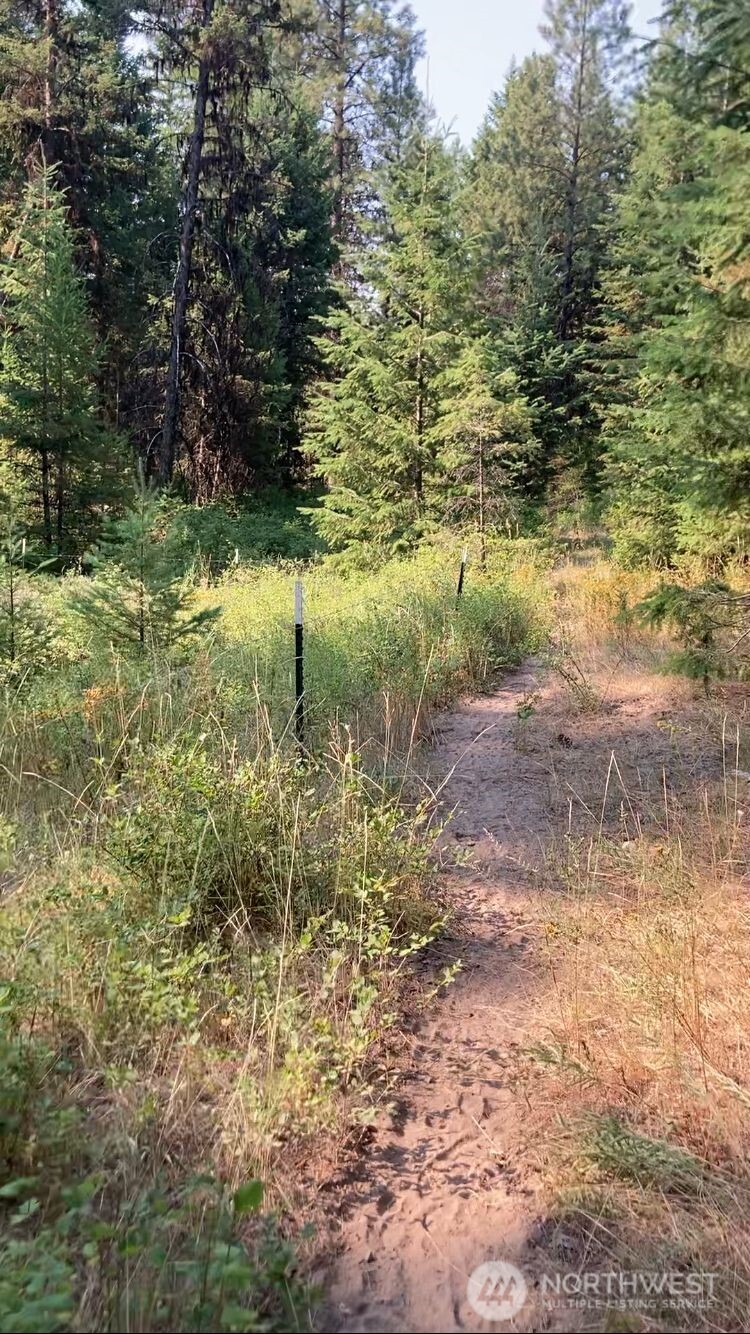 0 Xxx Turner Lake Road Property Photo 13