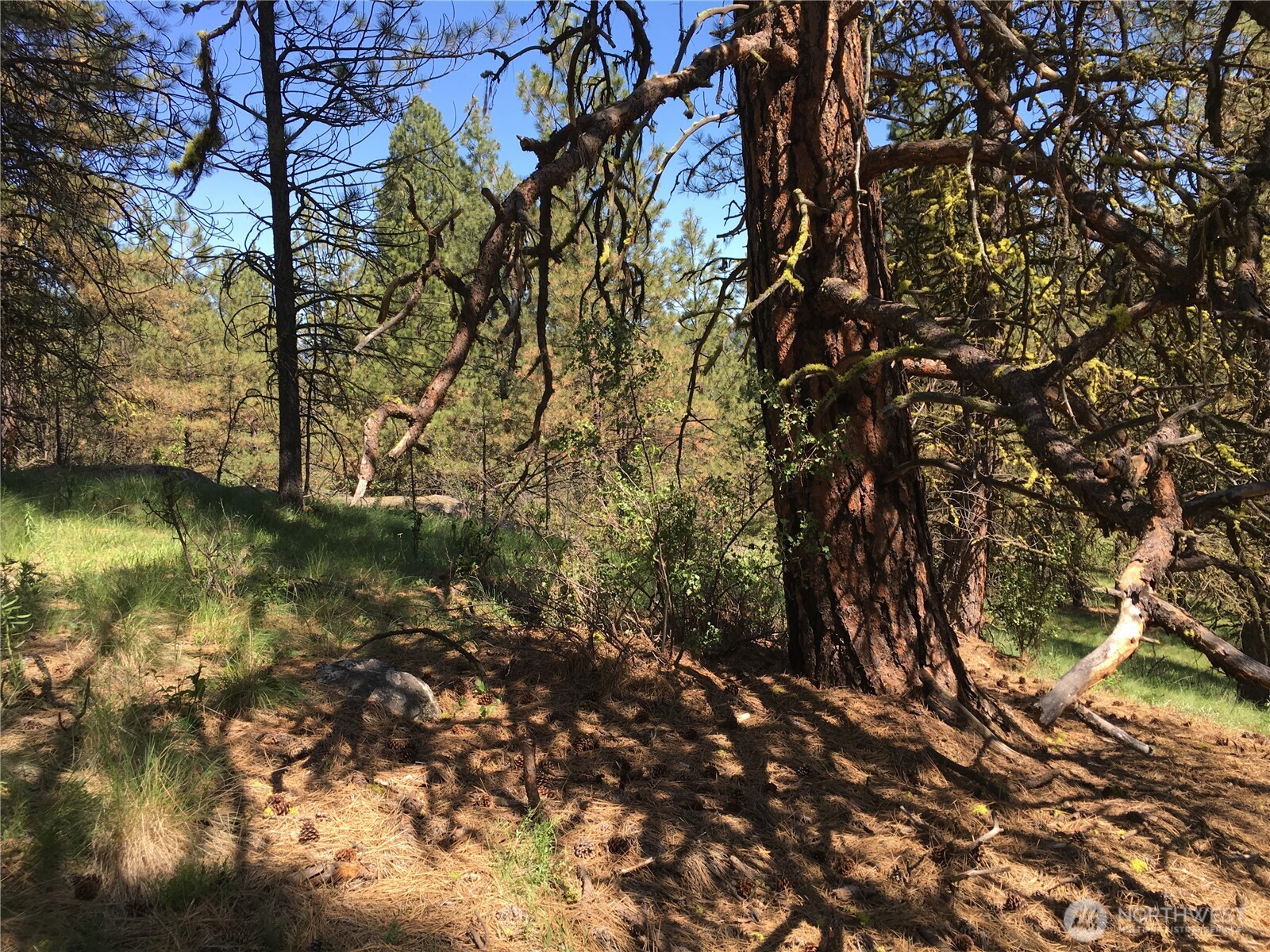 0 Xxx Turner Lake Road Property Photo 14