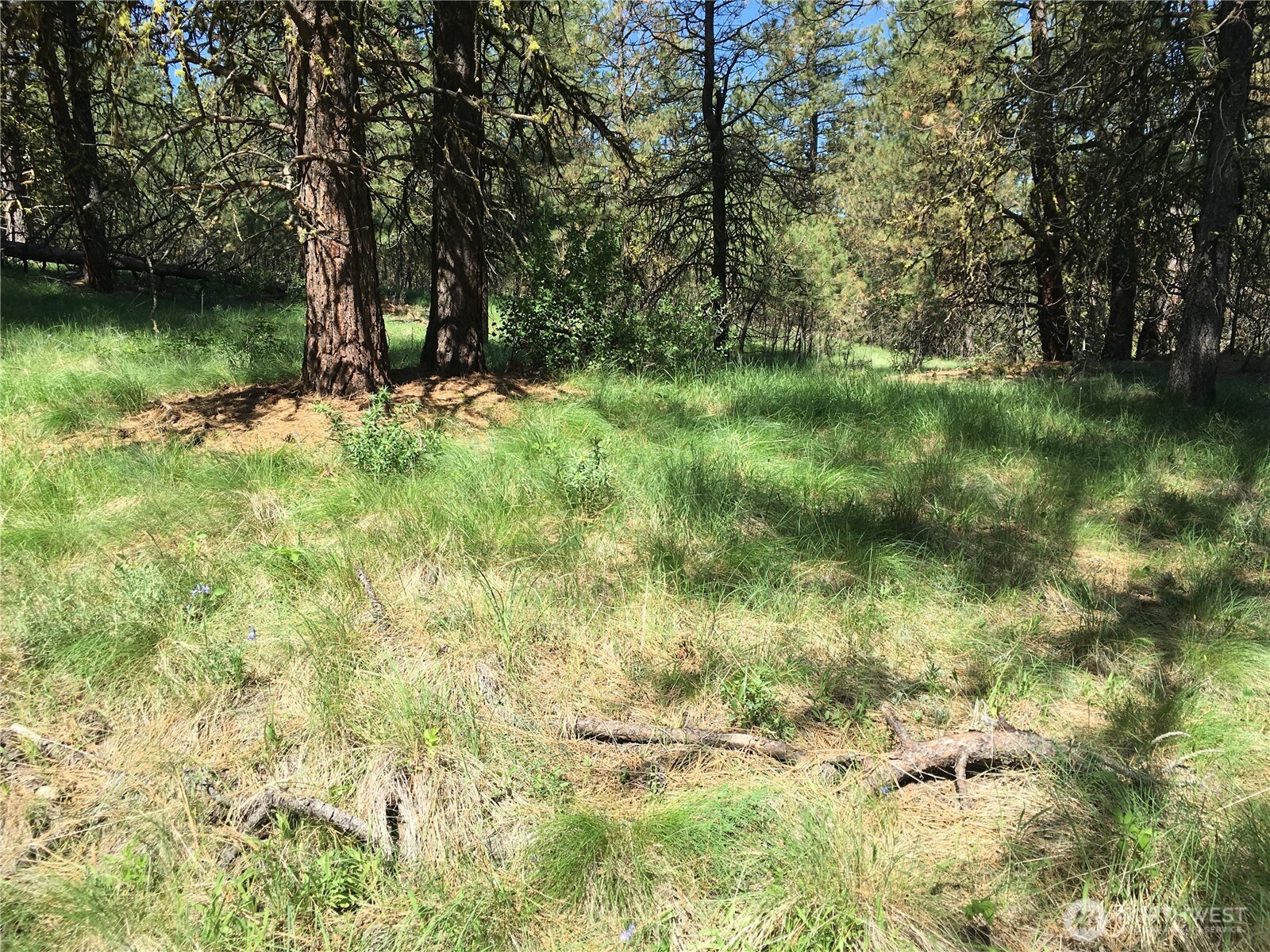 0 Xxx Turner Lake Road Property Photo 15