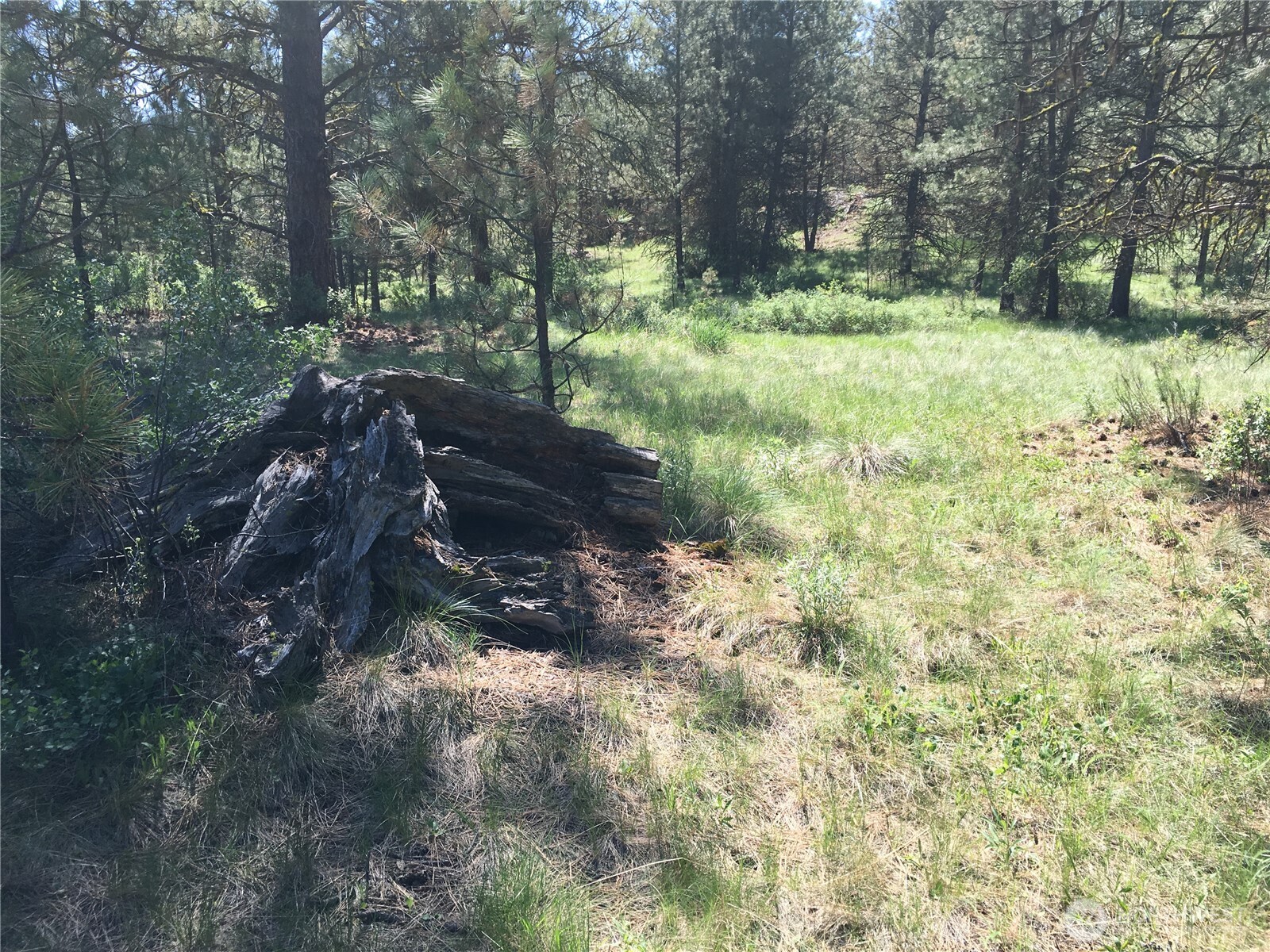 0 Xxx Turner Lake Road Property Photo 16