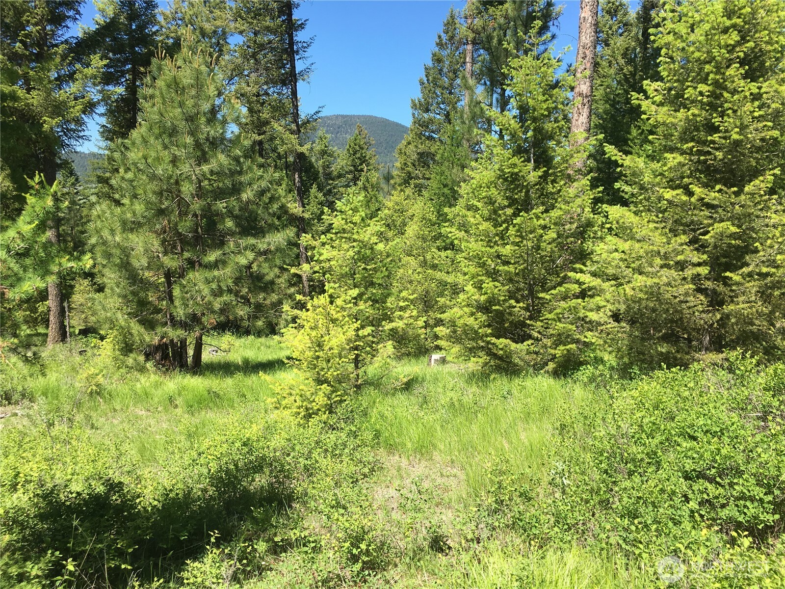 0 Xxx Turner Lake Road Property Photo 18