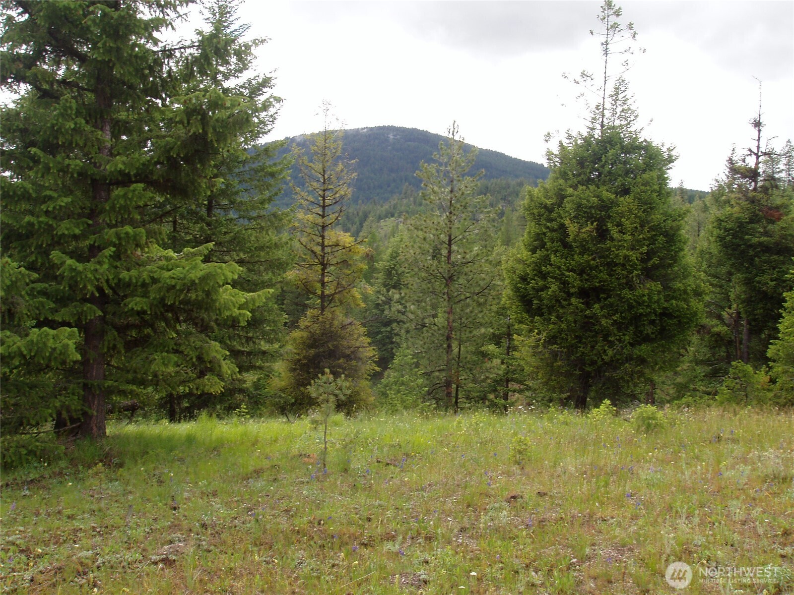 0 Xxx Turner Lake Road Property Photo 24