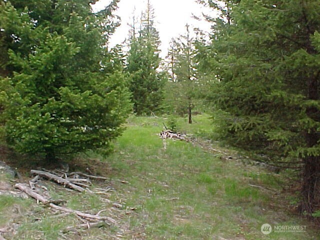 0 Xxx Turner Lake Road Property Photo 25