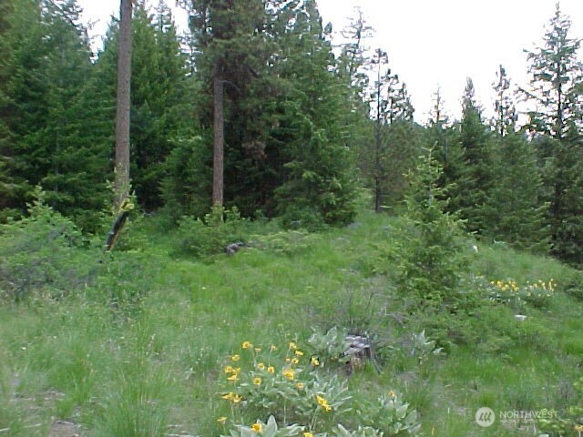 0 Xxx Turner Lake Road Property Photo 26