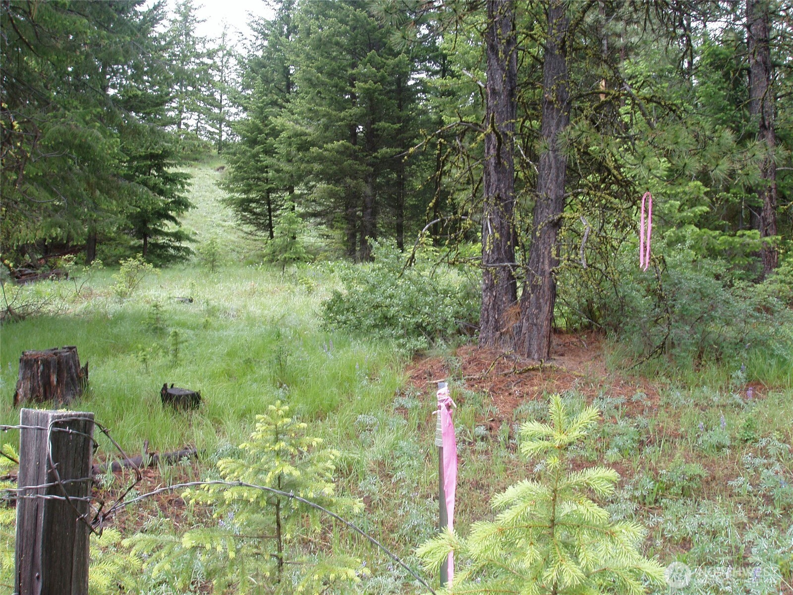 0 Xxx Turner Lake Road Property Photo 28