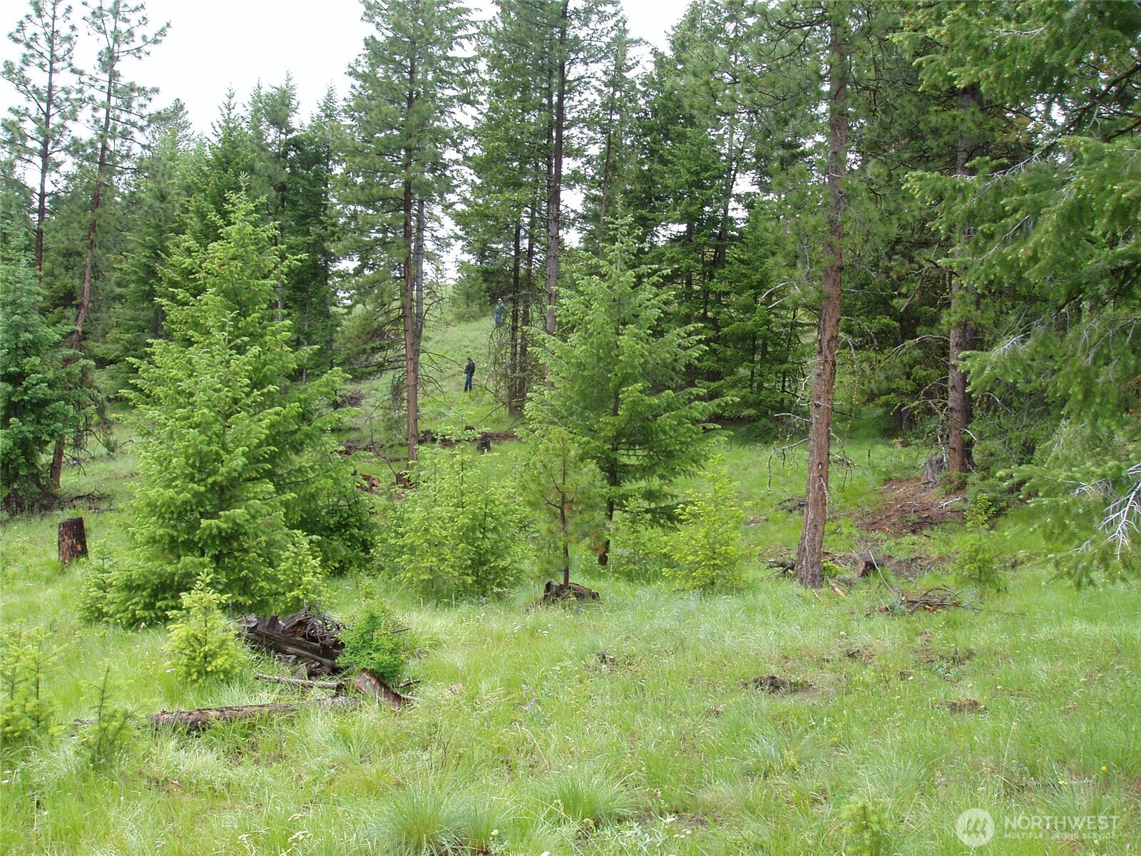 0 Xxx Turner Lake Road Property Photo 29