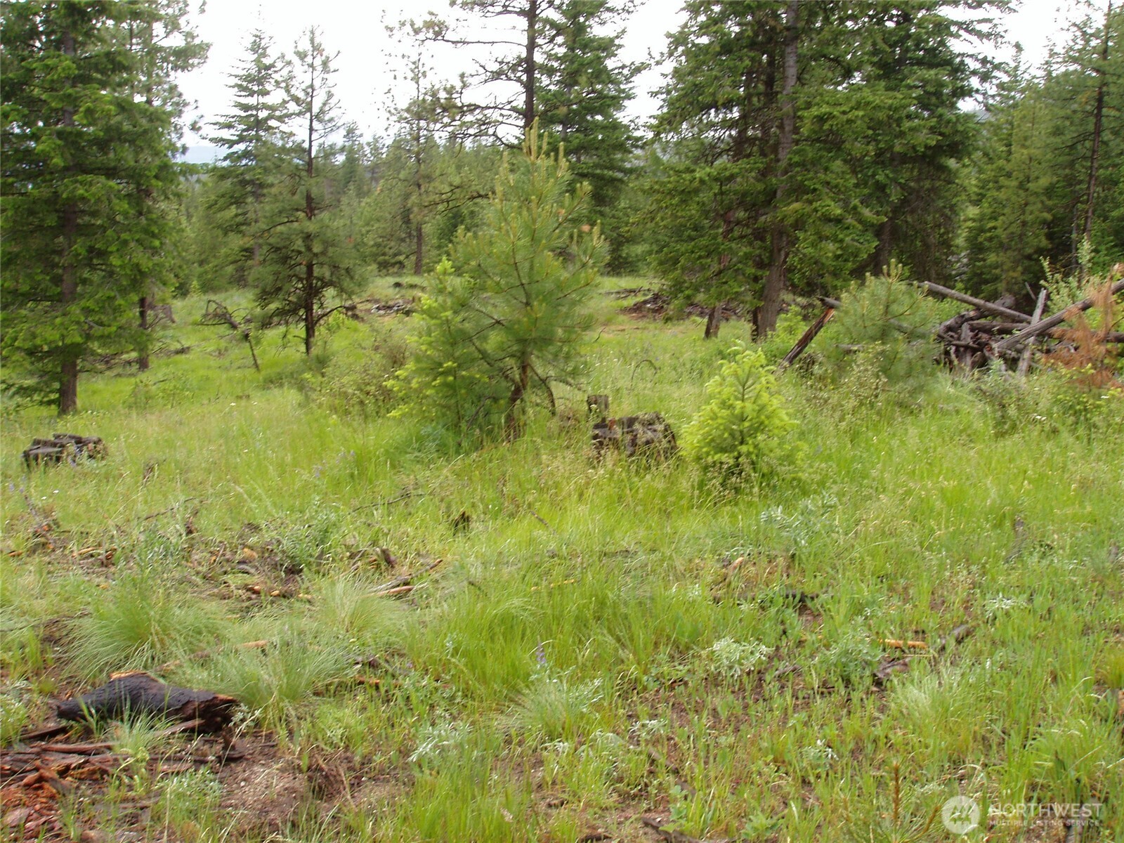 0 Xxx Turner Lake Road Property Photo 30