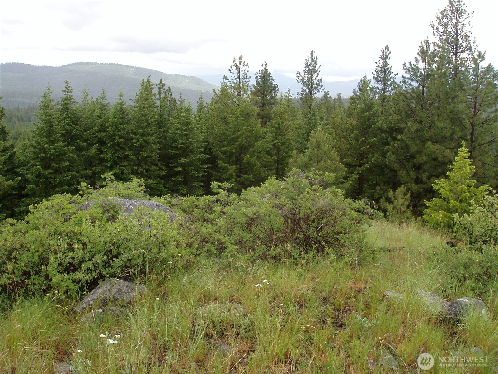 0 Xxx Turner Lake Road Property Photo 31