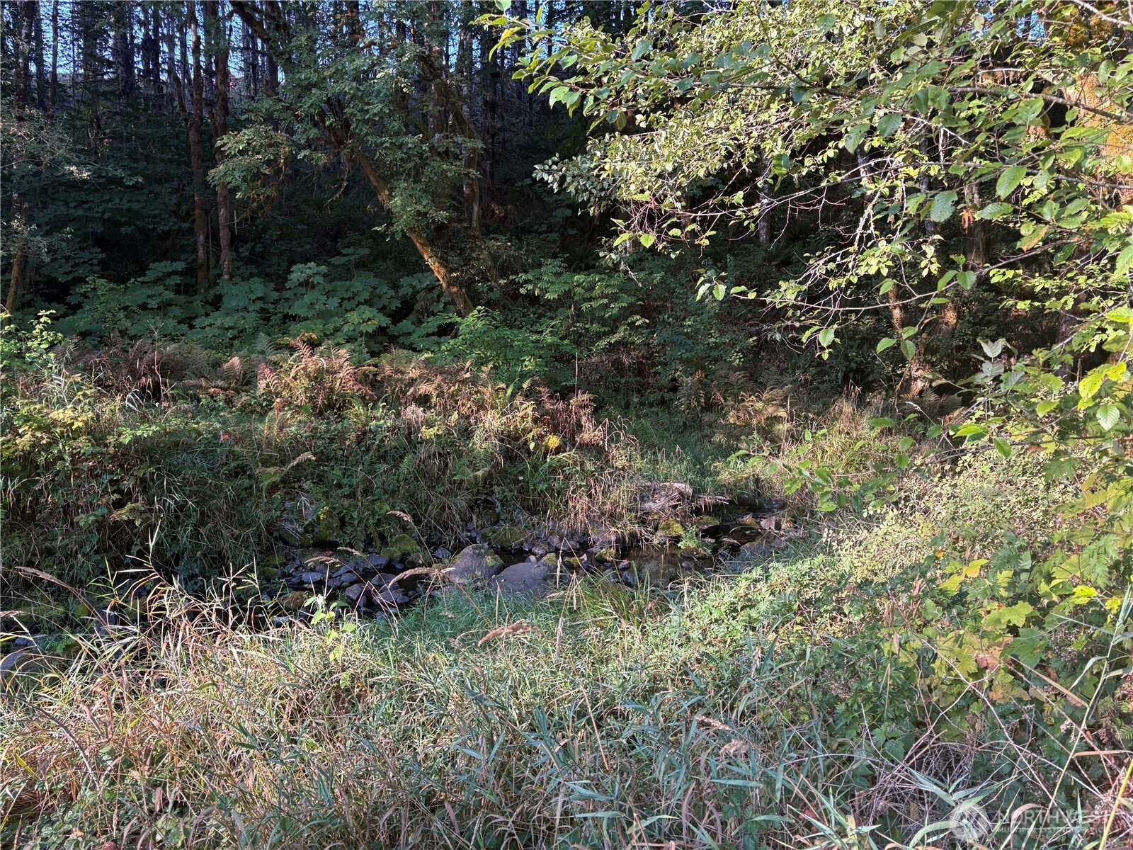 0 Nka Frank Smith Road Property Photo 7